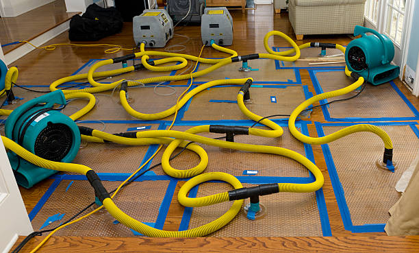 Professional Water Extraction technician working in Syracuse, IN